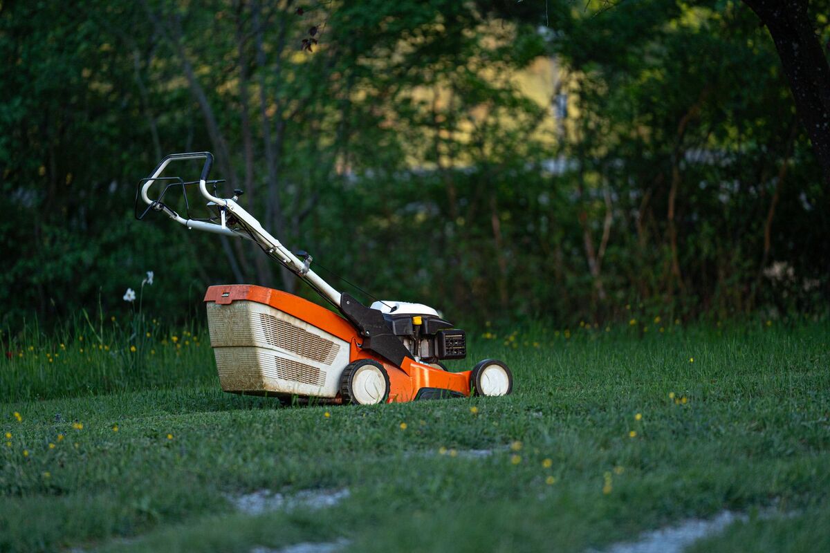 Equipa de jardinagem a fazer manutenção de um jardim com piscina numa moradia da área metropolitana de Lisboa